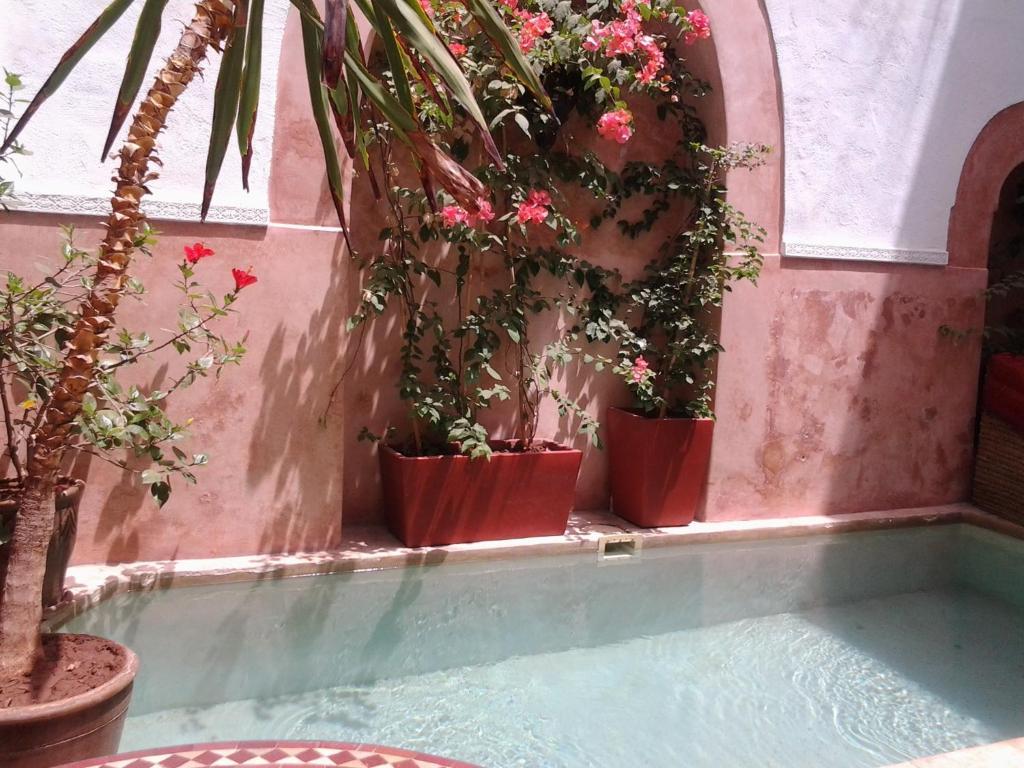 Ryad Dar Ganou Marraquexe Exterior foto
