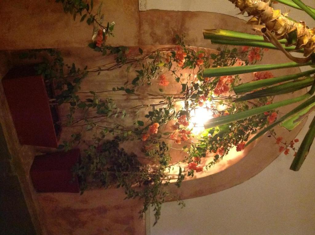 Ryad Dar Ganou Marraquexe Exterior foto